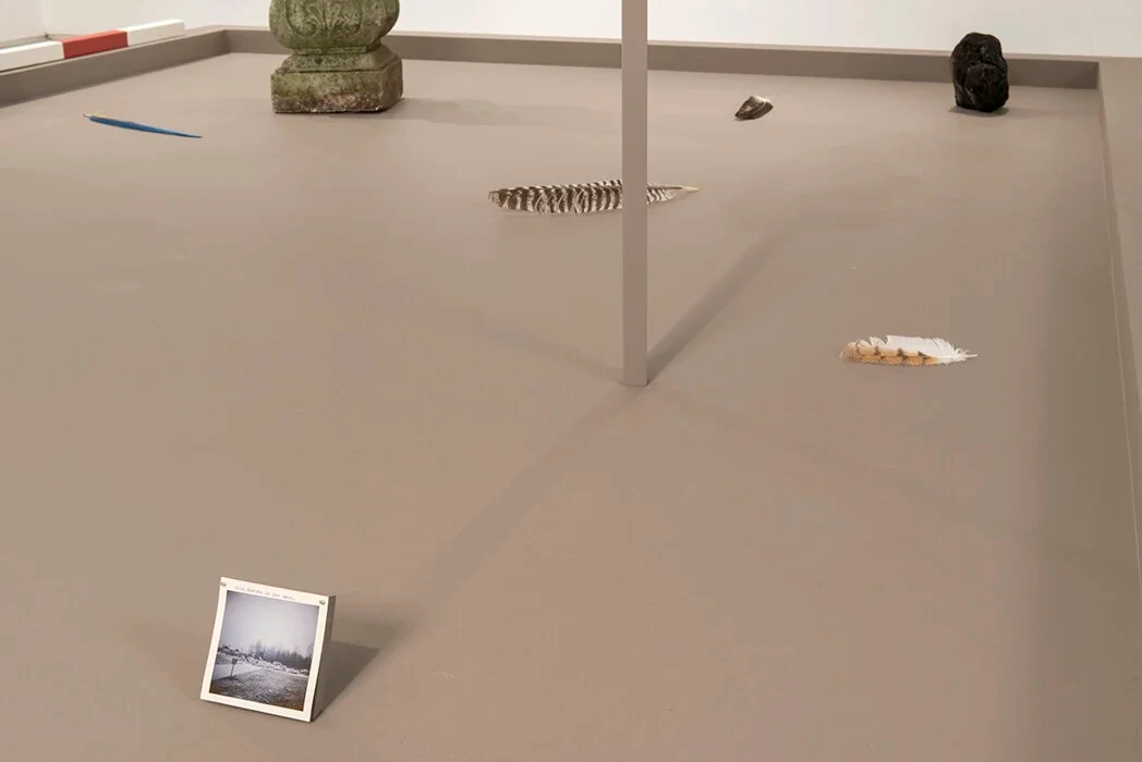 Kitchen Midden — image 2