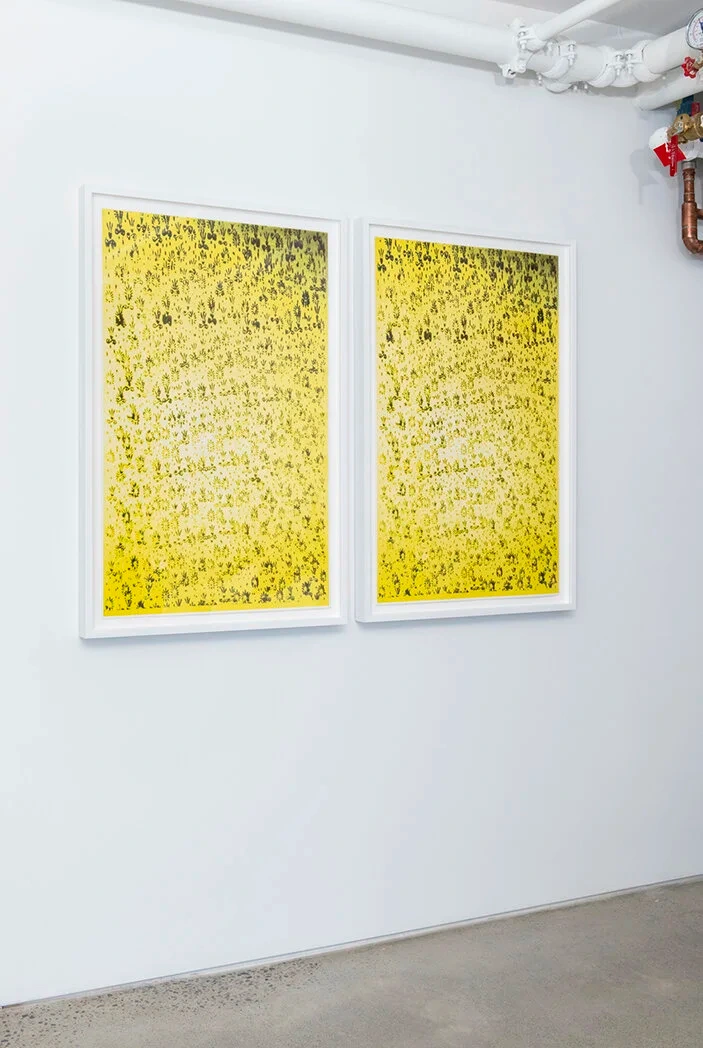NO BIG PICTURE: The Personal Art of Enn Erisalu and Ilana Aloni — image 4