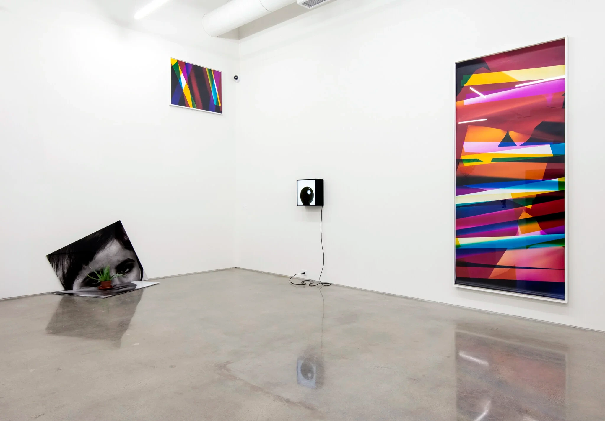 Surrogates — image 1