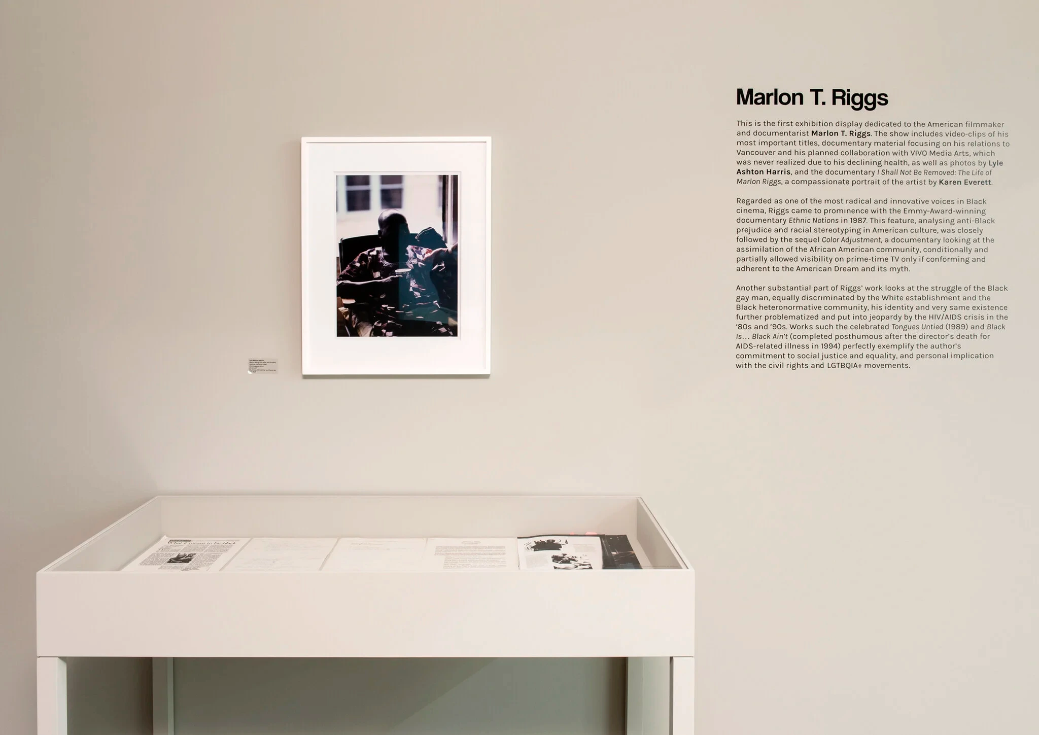 The Sodomite Invasion: Experimentation, Politics and Sexuality in the work of Jimmy DeSana and Marlon T. Riggs — image 2
