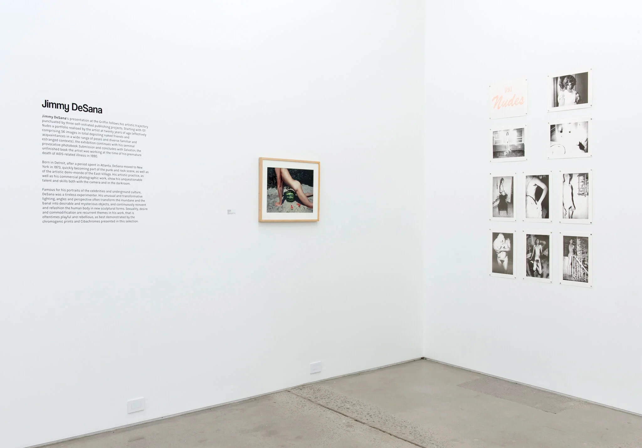 The Sodomite Invasion: Experimentation, Politics and Sexuality in the work of Jimmy DeSana and Marlon T. Riggs — image 8