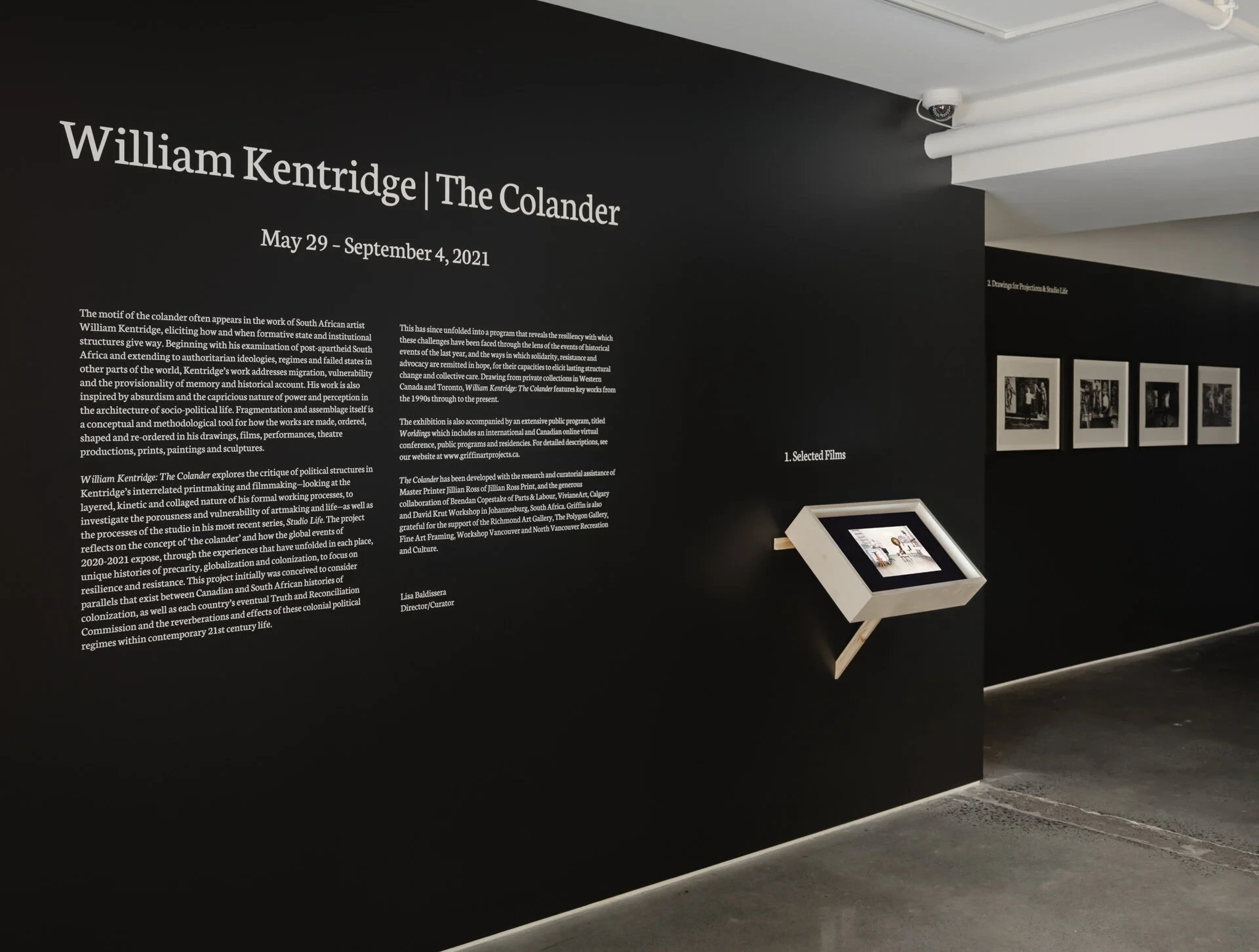 William Kentridge: The Colander — image 2