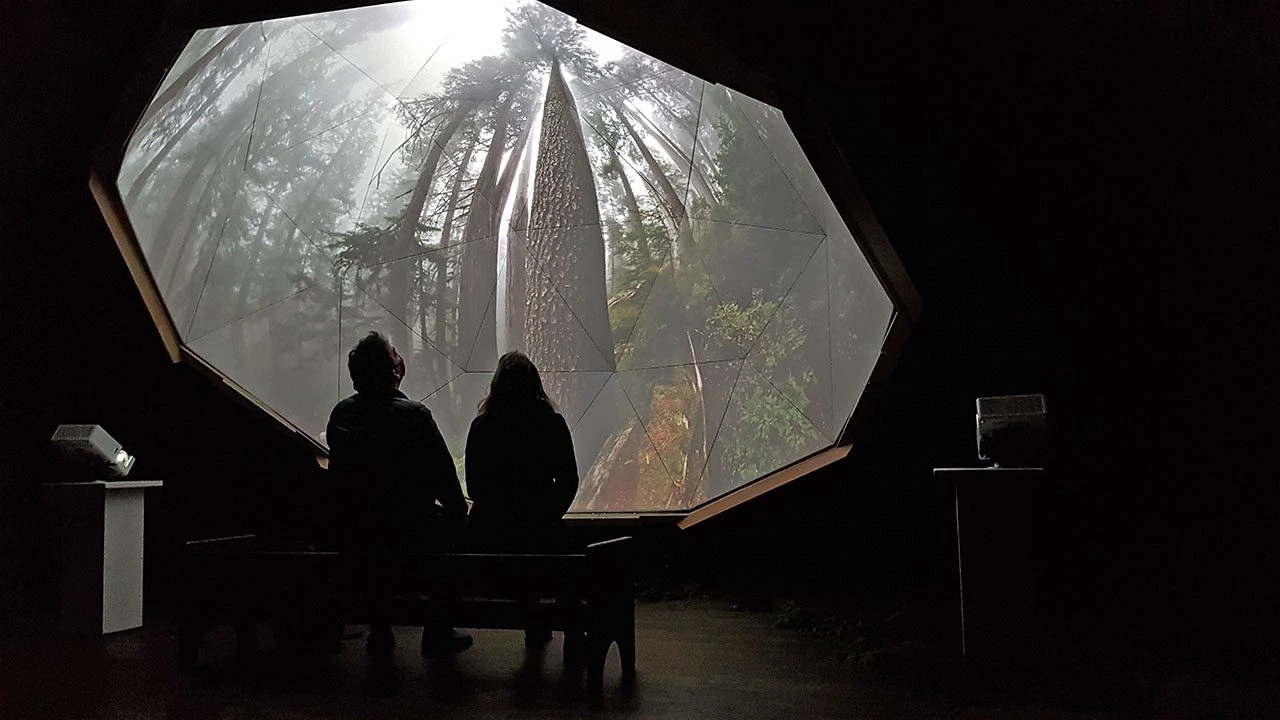 SANCTUARY: The Ancient Forest Experience
